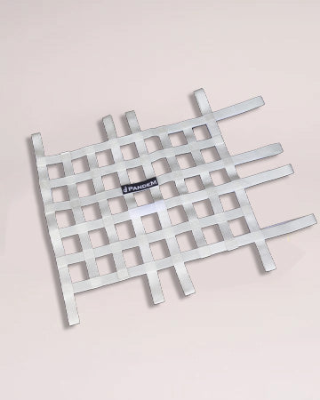 PANDEM NET