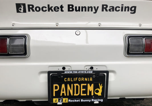 LICENSE PLATE FRAMES